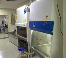 HIV实验室规划设计